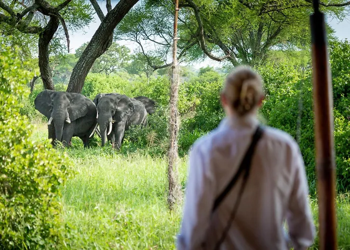 Baobab Tented Camp